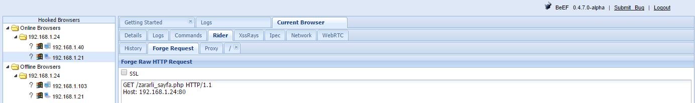 BeEF Framework Nedir-9
